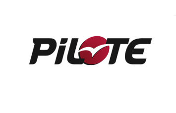 pilote logo camper Renault master